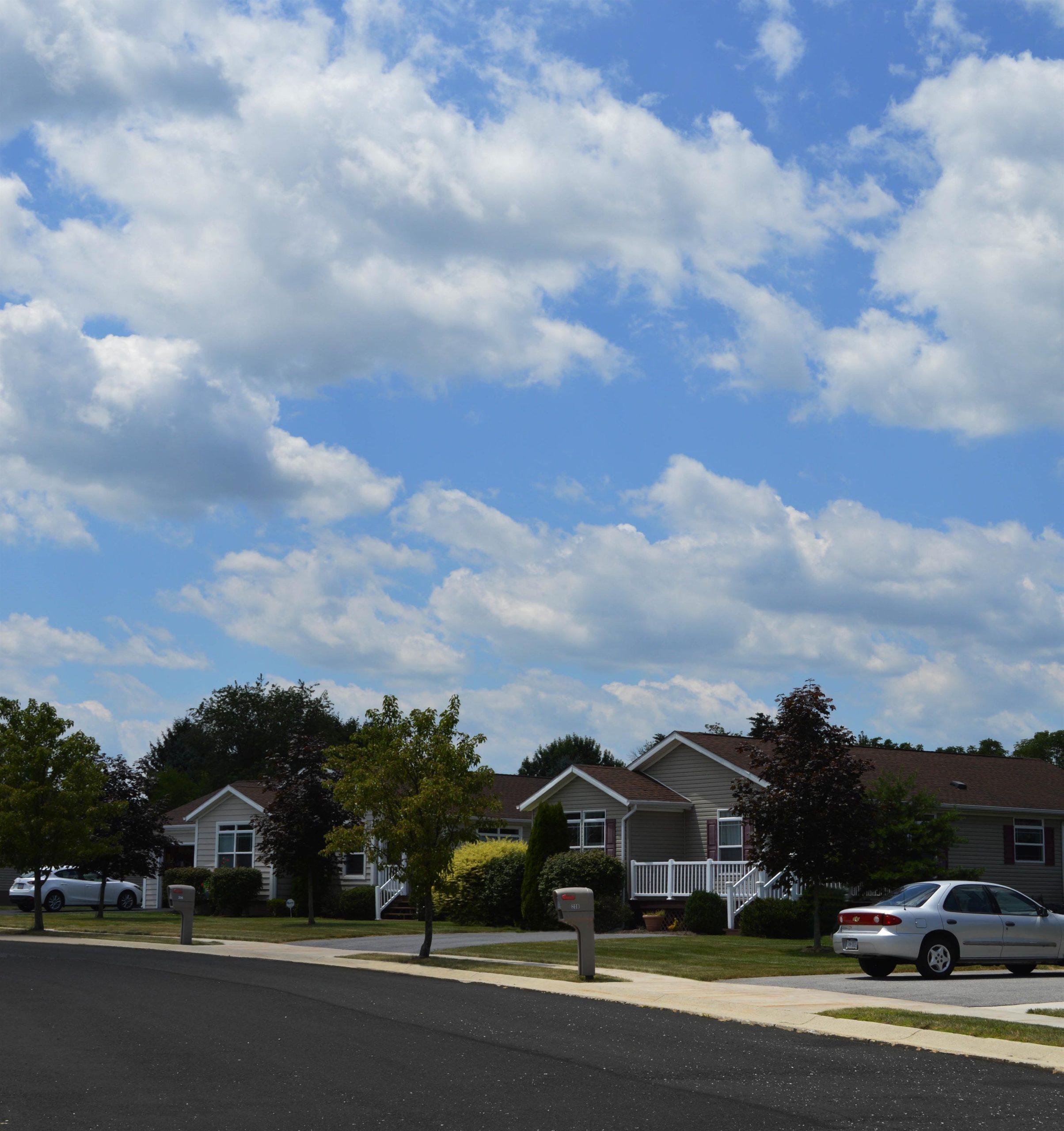 Pine Manor - Image 11
