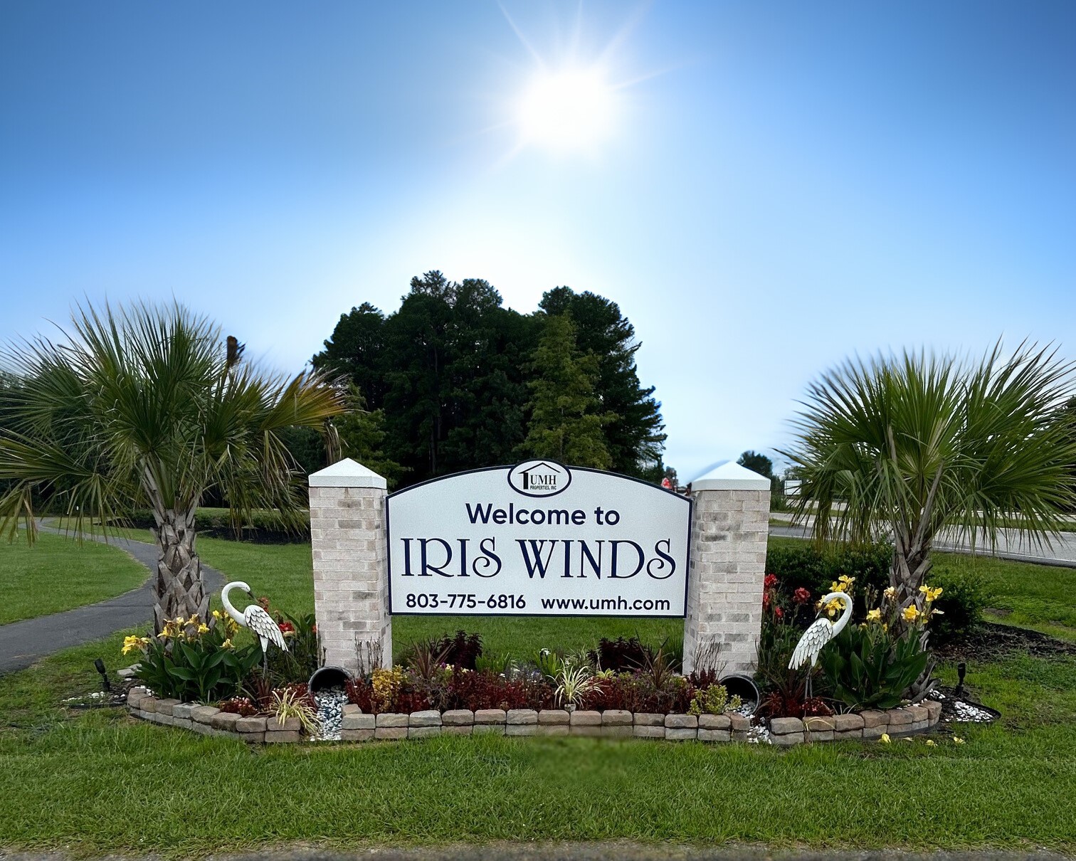 Iris Winds - Image 1