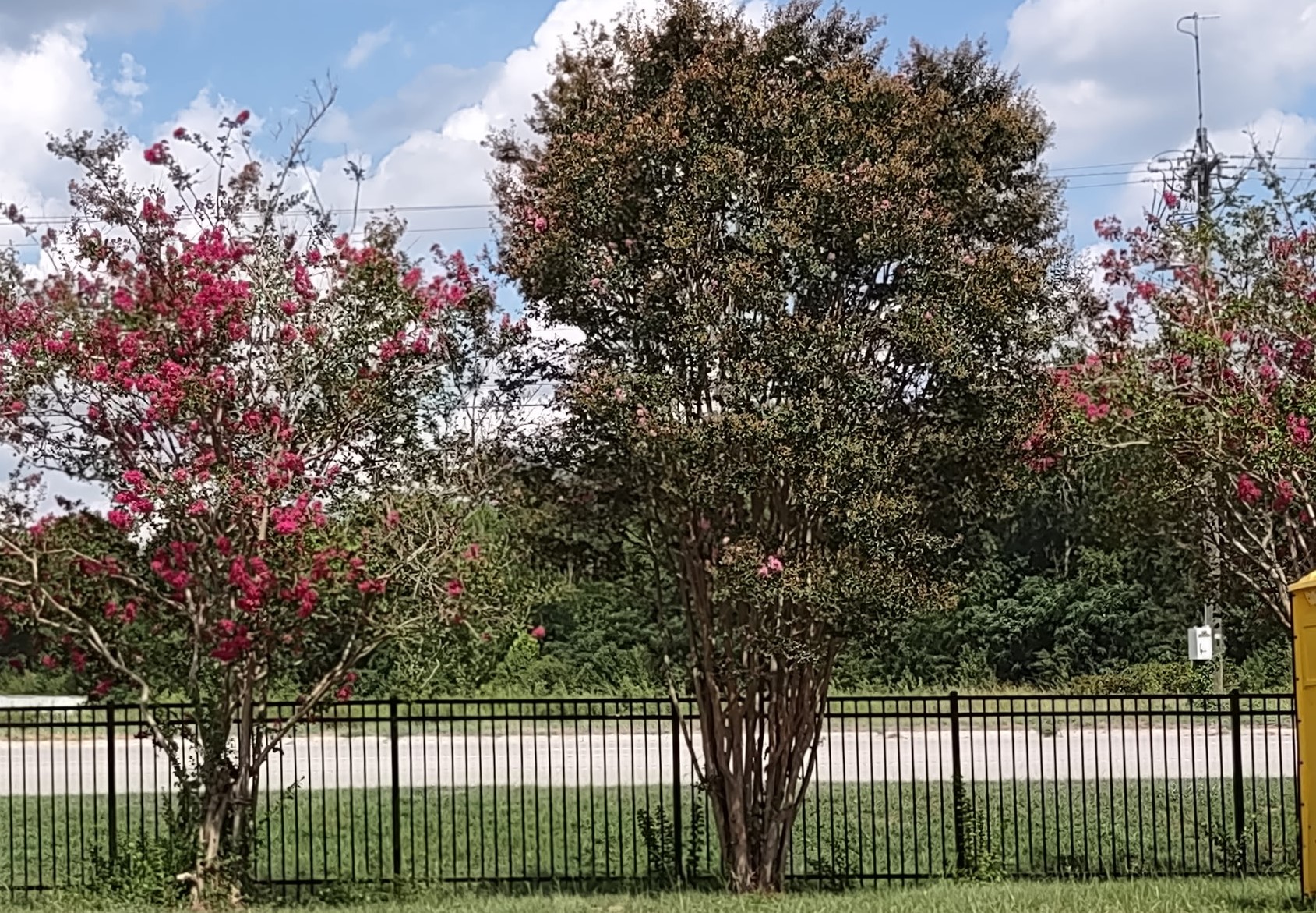 Garden View Estates - Image 23