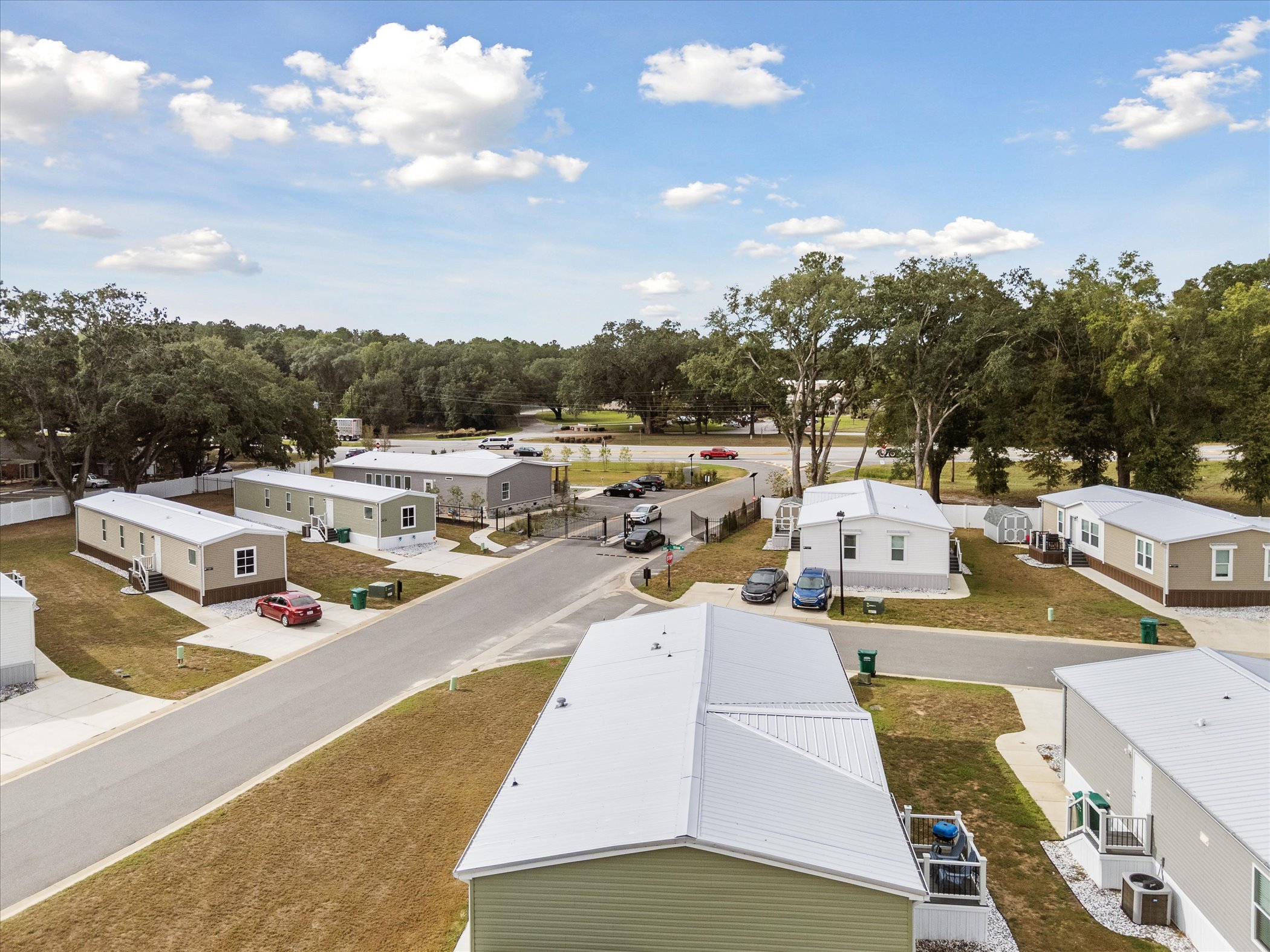 Mighty Oak - Image 91