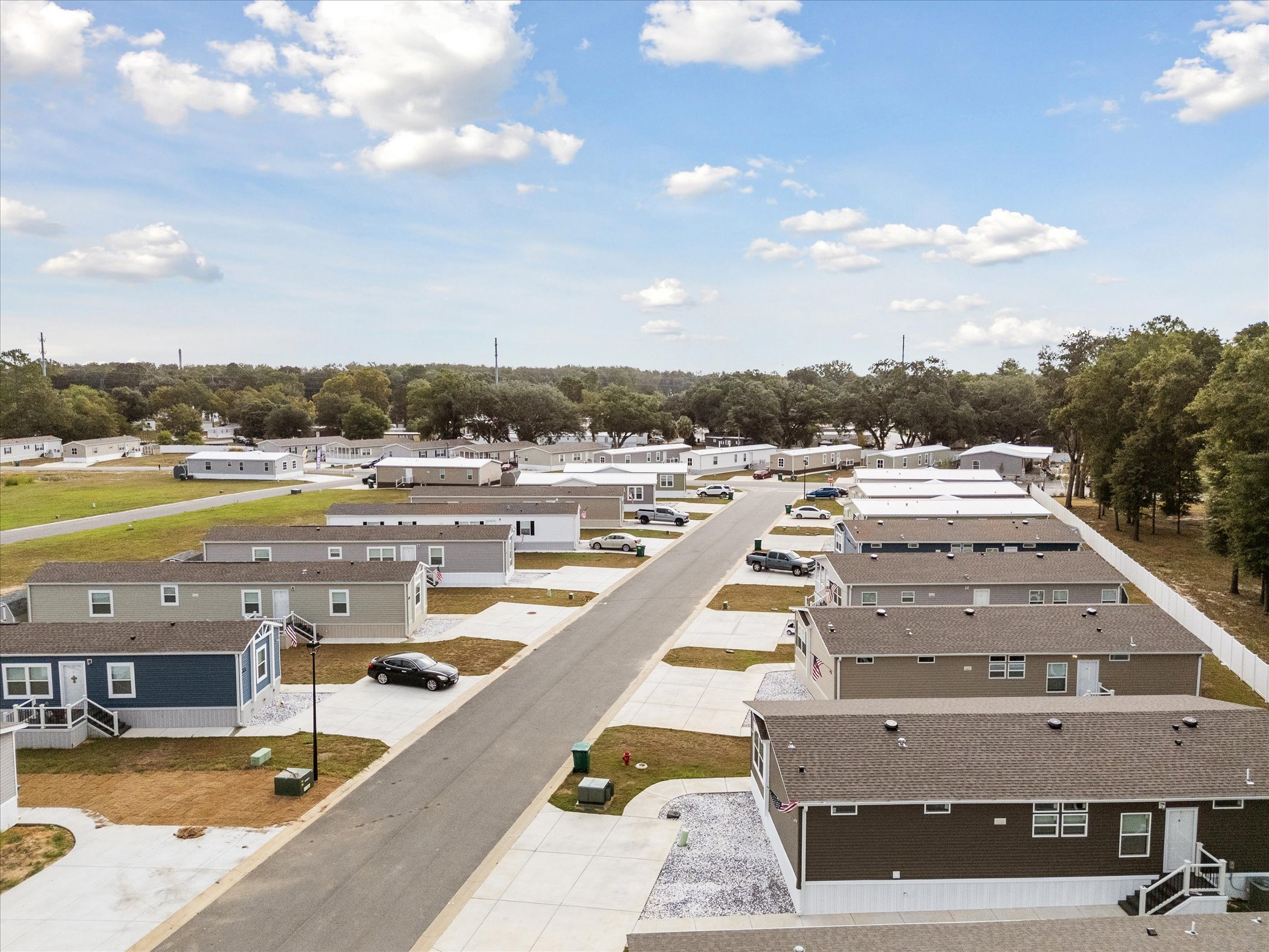 Mighty Oak - Image 96