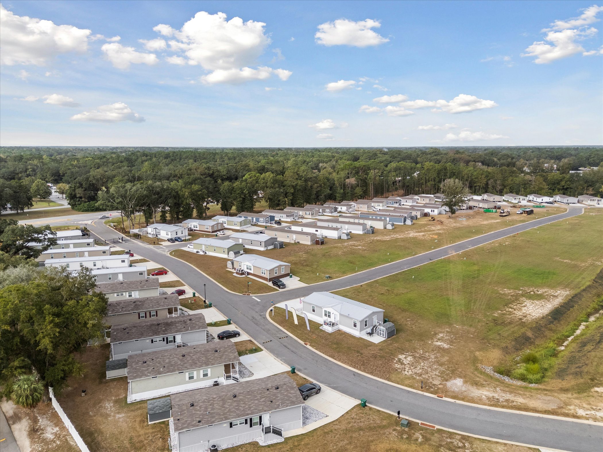 Mighty Oak - Image 98