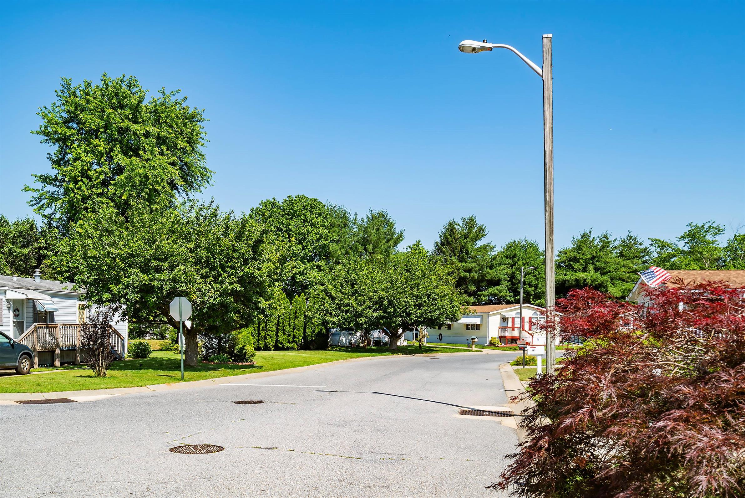 Cedar Grove - Image 4
