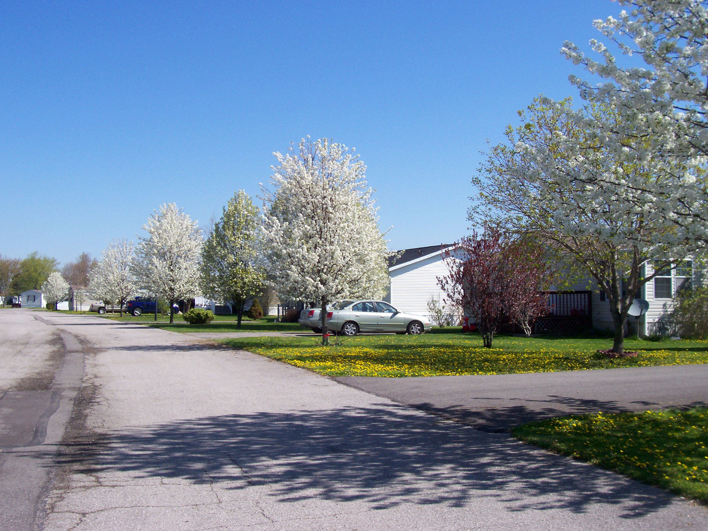 River Valley Estates - Image 2