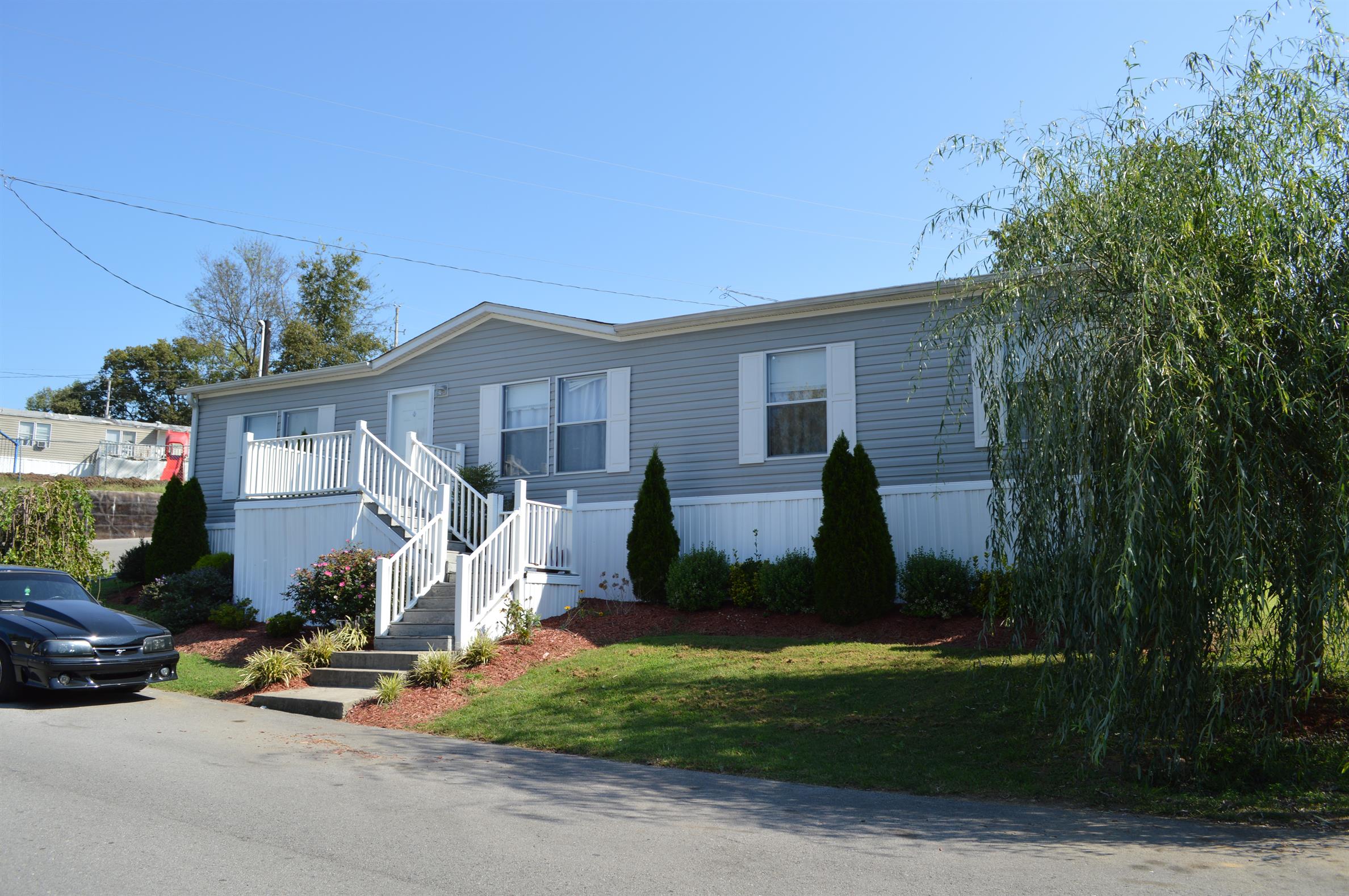 Shady Hills - Image 1