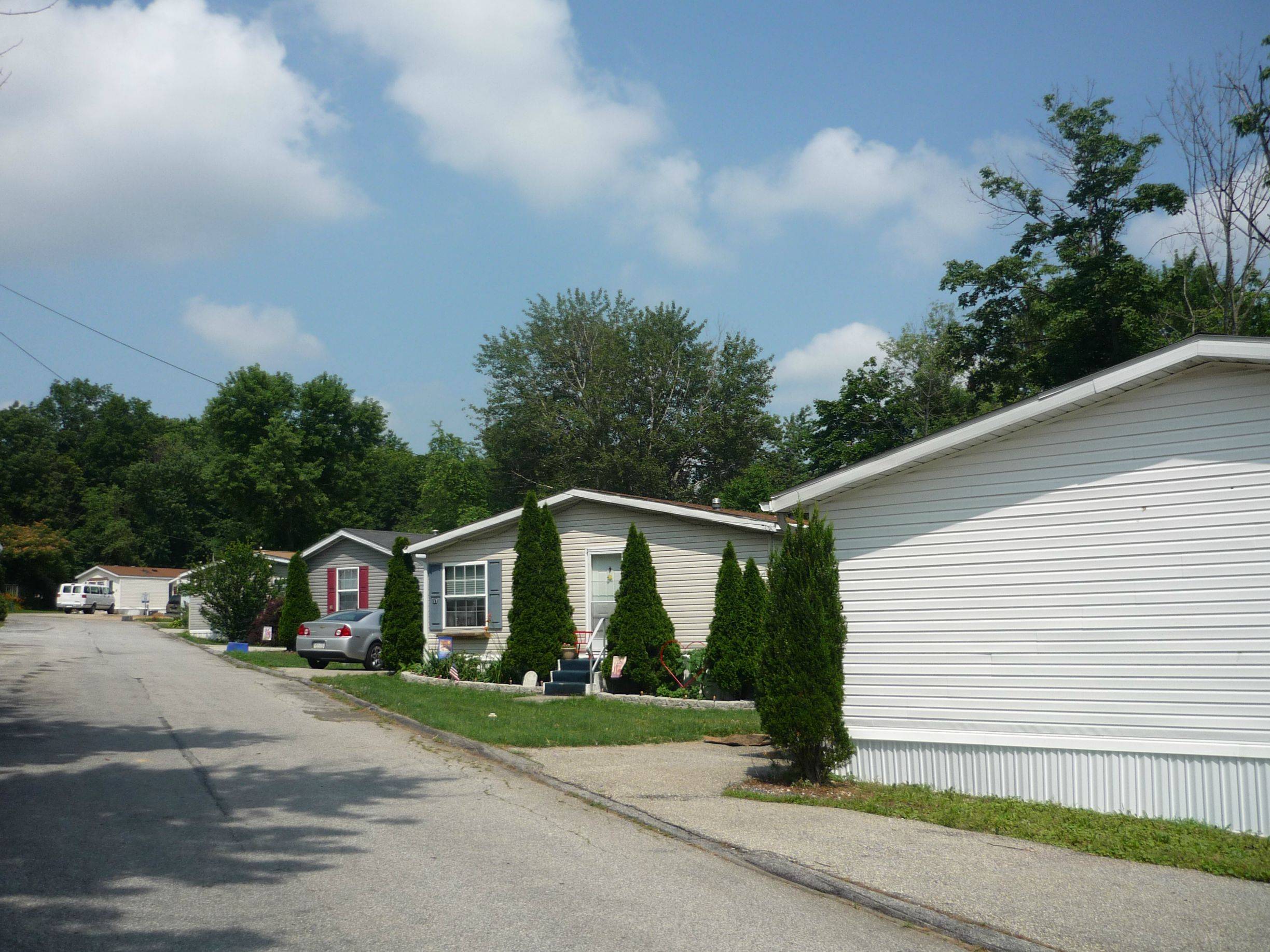 Sunnyside - Image 1