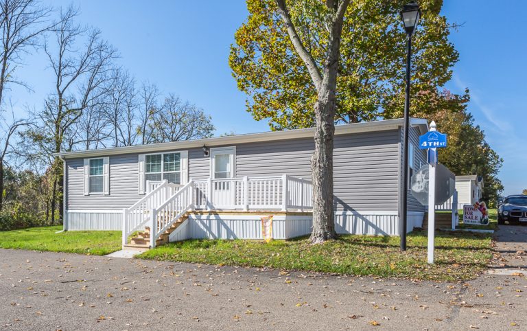 Sandy Valley Estates community image