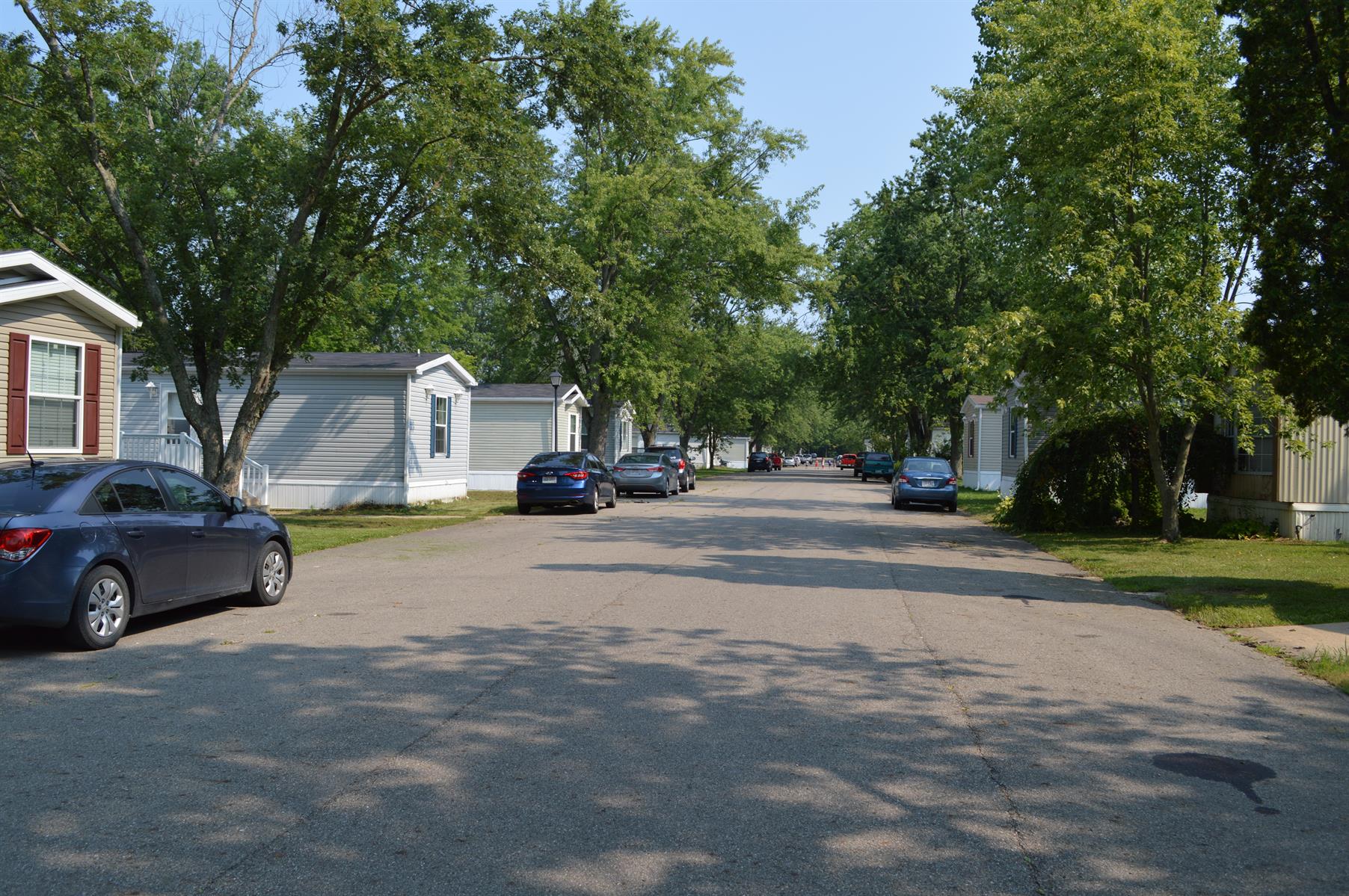 Wood Valley - Image 16